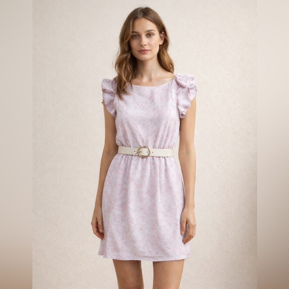 Ann Taylor Ruffle Dot Dress